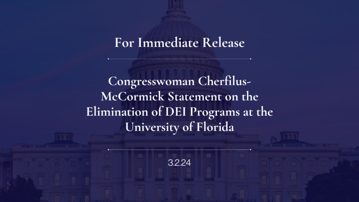 STATEMENT DEI