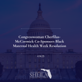 Congresswoman Cherfilus-McCormick Co-Sponsors Black Maternal Health Week Resolution